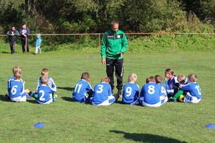 开云官方网页登录-德甲球队构建战术模拟平台提升临场应变能力，德甲球队构建战术模拟平台提升临场应变能力