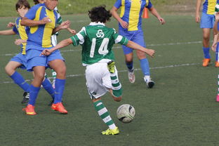 开云官网APP下载-体育纪录片内容更加丰富，体育纪录片主题