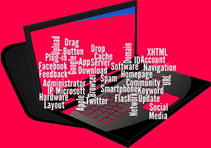 开云网站-CBA开展球员社交媒体管理课程提高职业素养，运动员社交媒体